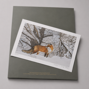 FUCHS IN SCHNEELANDSCHAFT <br> ART PRINT